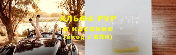 ешки Аркадак