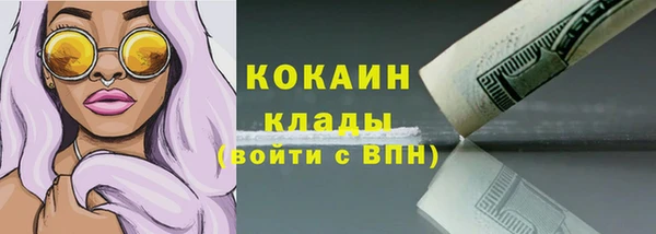 ешки Аркадак