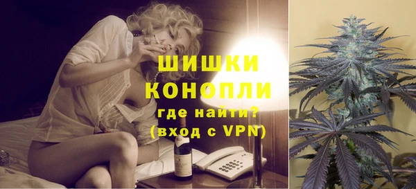 ешки Аркадак