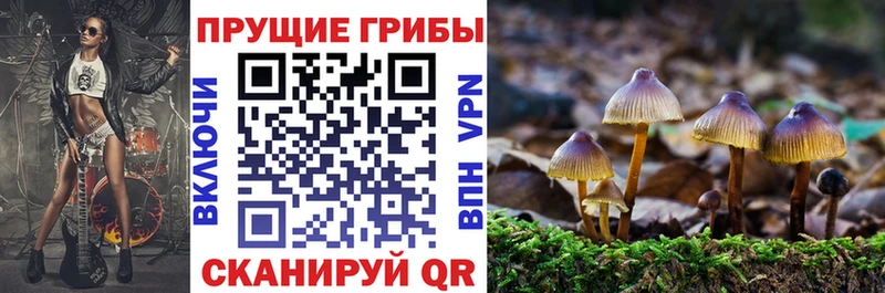 Галлюциногенные грибы прущие грибы  цены наркотик  Шлиссельбург 